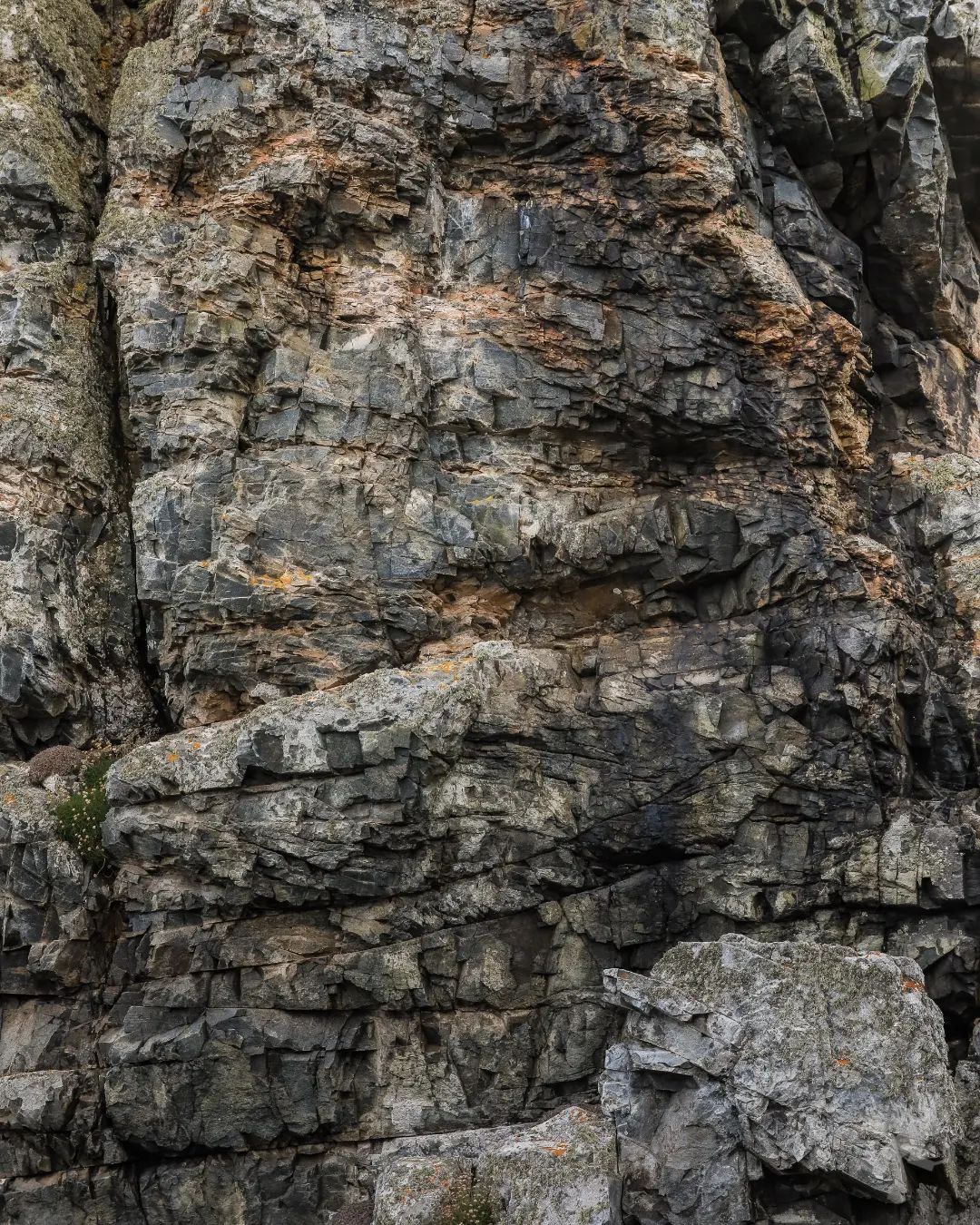 Rocks.
Perros Guirec 2023