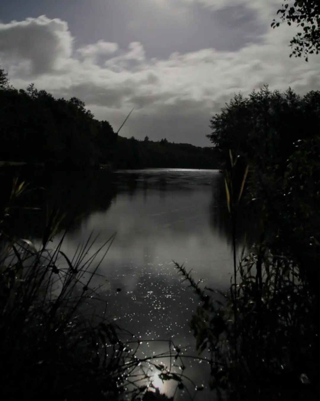 The dark