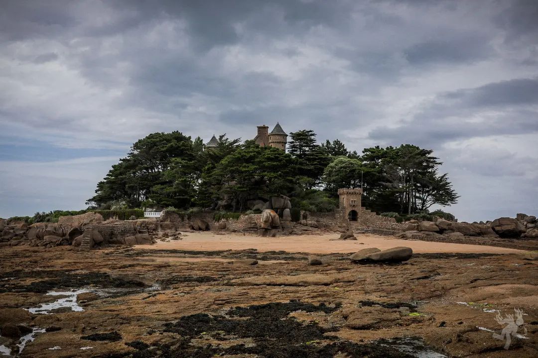 Social life goals: a lair isolated twice daily by tides.