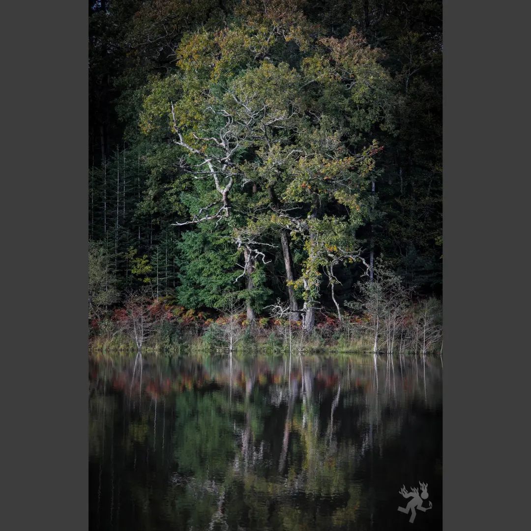 Oui en fait Brocéliande c'est un peu joli.