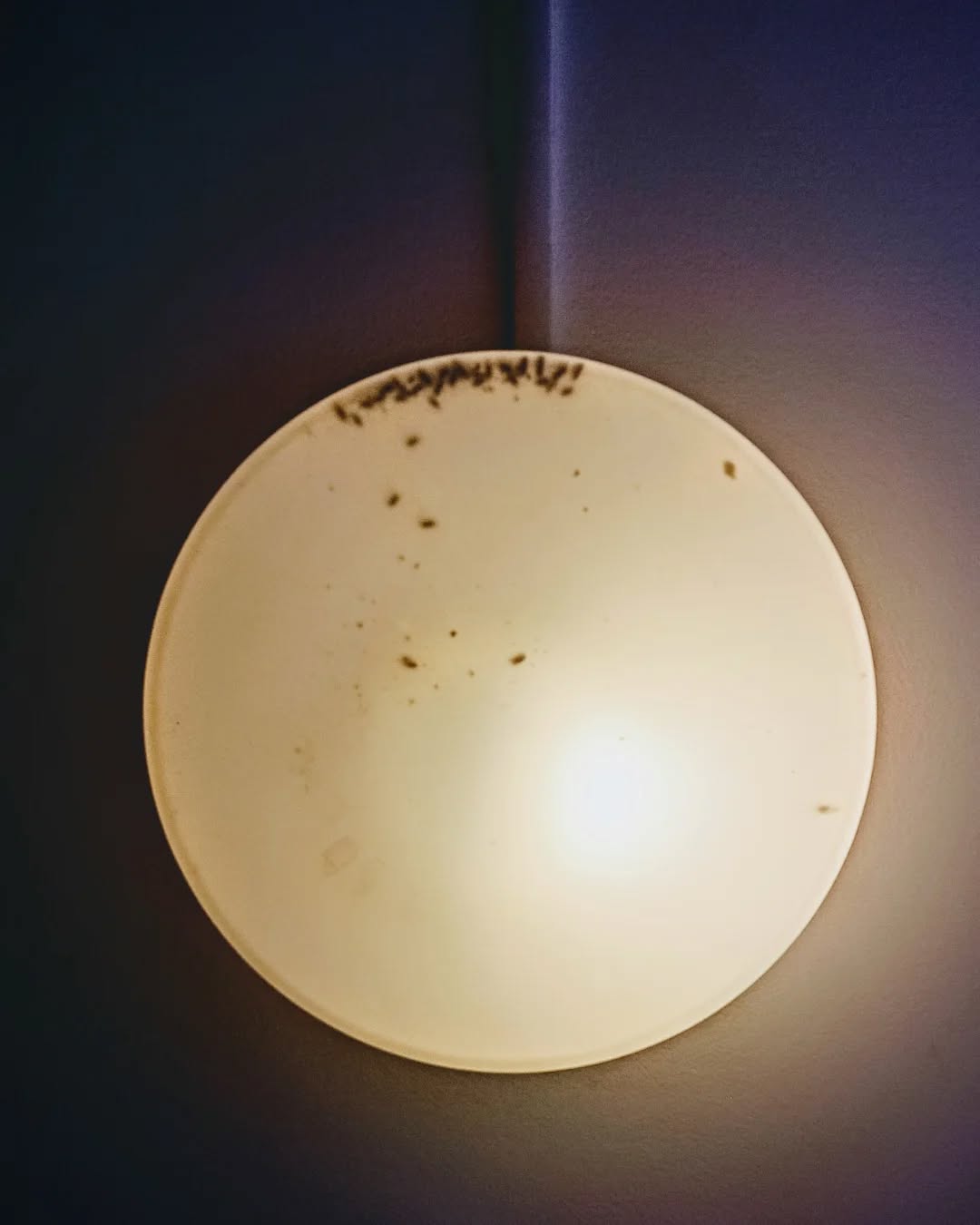 Those times,
When you feel just like
The bunch of dead flies
In the
Ceiling lamp