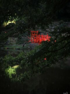 The ability to focus and get steady