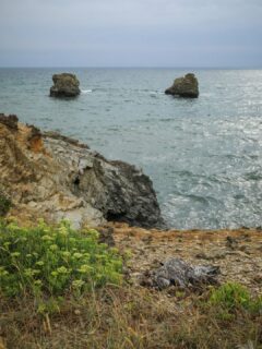 A carcass
Washed away with the tide
It's not easy but it's easily done
How you can live like an animal and die like one