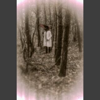 A RARE SIGHTING 

The woods were rapidly going dark as the night was setting.

The creature seemed startled for a short while.
I don't know if it saw me as friend or foe, but I did flee without further invitation, as it began to walk towards me.