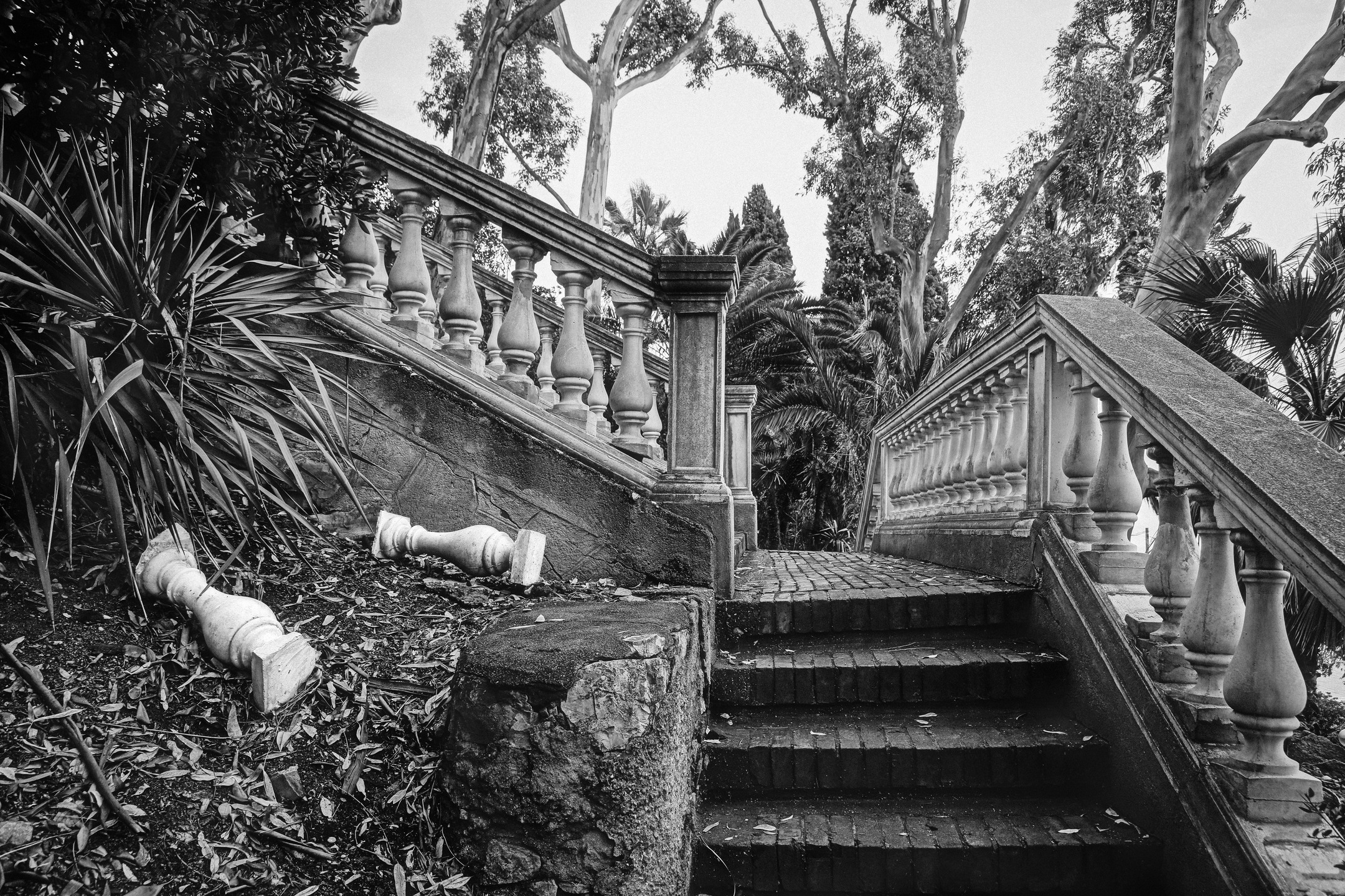 Non-conclusive
Alas,
Fortunately