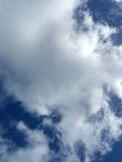 A view from bottom to top