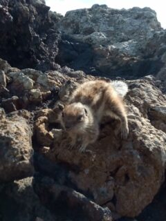 Voir de beaux endroits, se faire des copains.