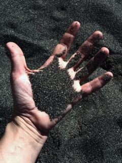 When you accidentally touch your sense of humor at the beach