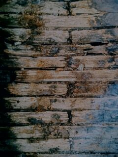 Standing on solid ground