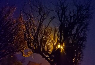 Neurons ar overrated