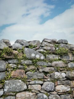 Imaginer l'éclaircie par-delà le paywall.