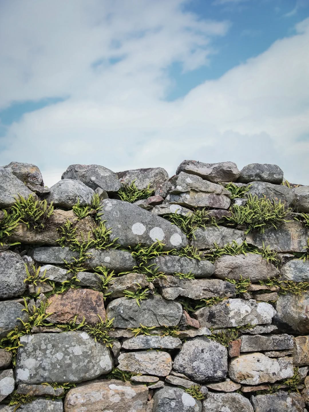 Imaginer l'éclaircie par-delà le paywall.