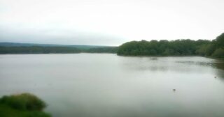 Achieving serenity may be a tall ambition.
Fuck it. We'll just strive for simple little rests on the way.