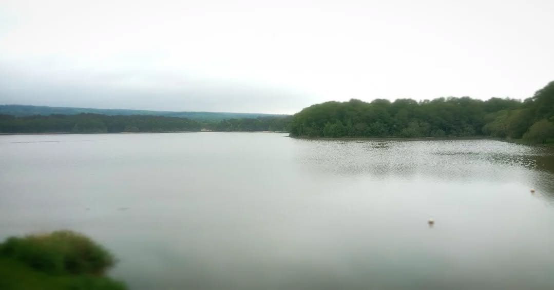 Achieving serenity may be a tall ambition.
Fuck it. We'll just strive for simple little rests on the way.