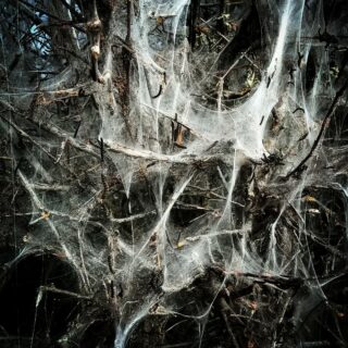Unspeakable horrors from the nameless void