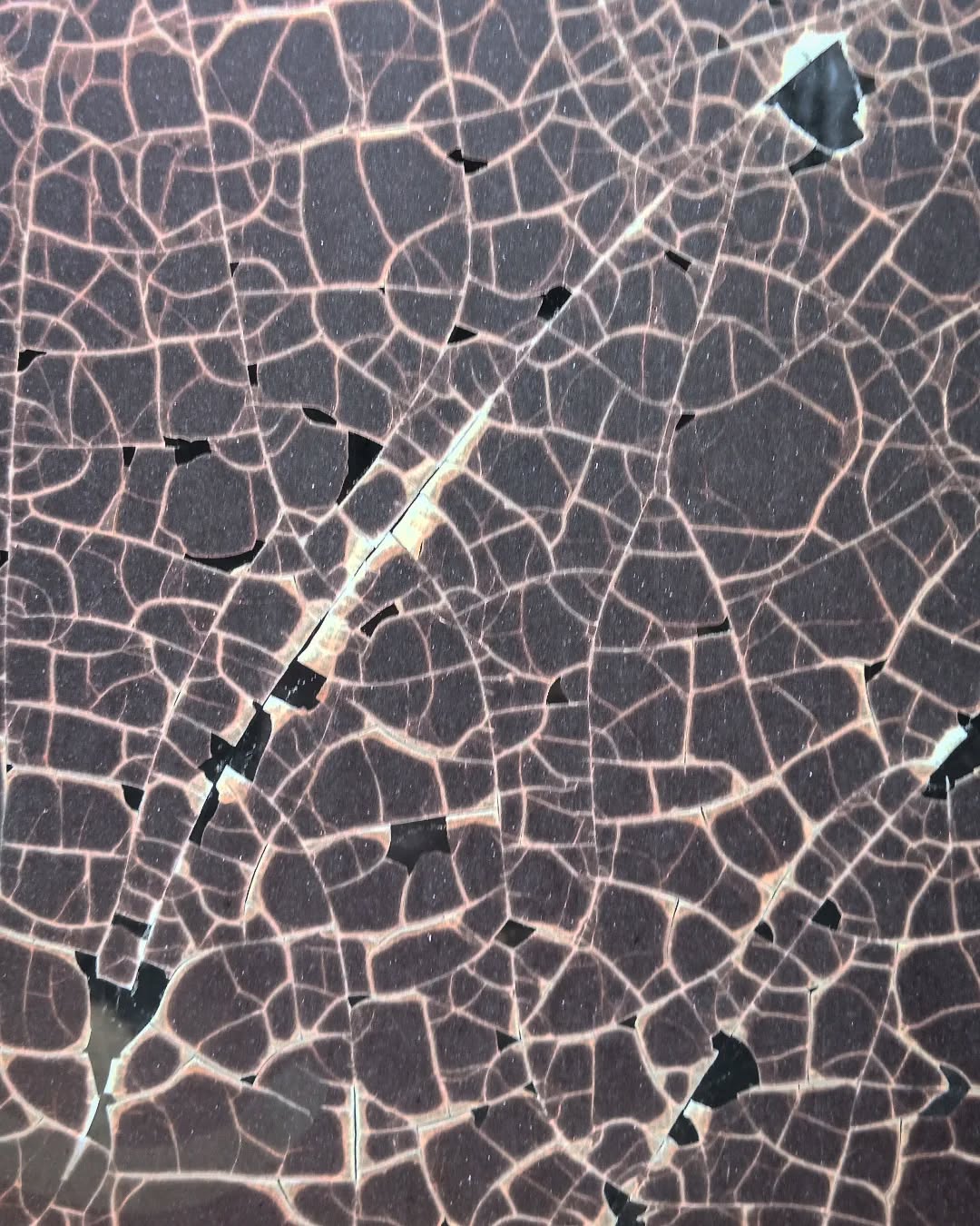 "_ Il est vraiment pas clair ce plan.
_ Mec, le plan est sur le mur d'en face. Tu regardes un film plastique craqué au soleil depuis 10 minutes."