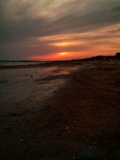 Low tides
At last