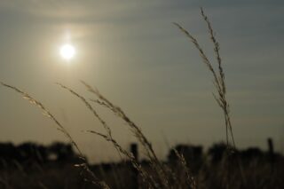 No matter what, sun always sets