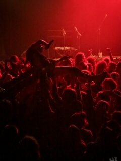 Surf the crowd
Gloss over the night